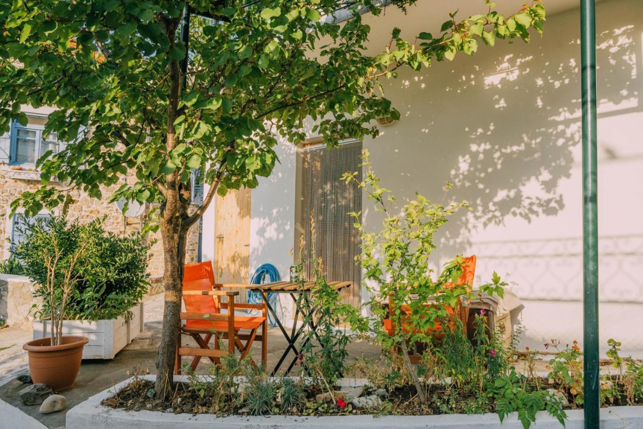The Apricot Tree Studio Samothráki Eksteriør billede